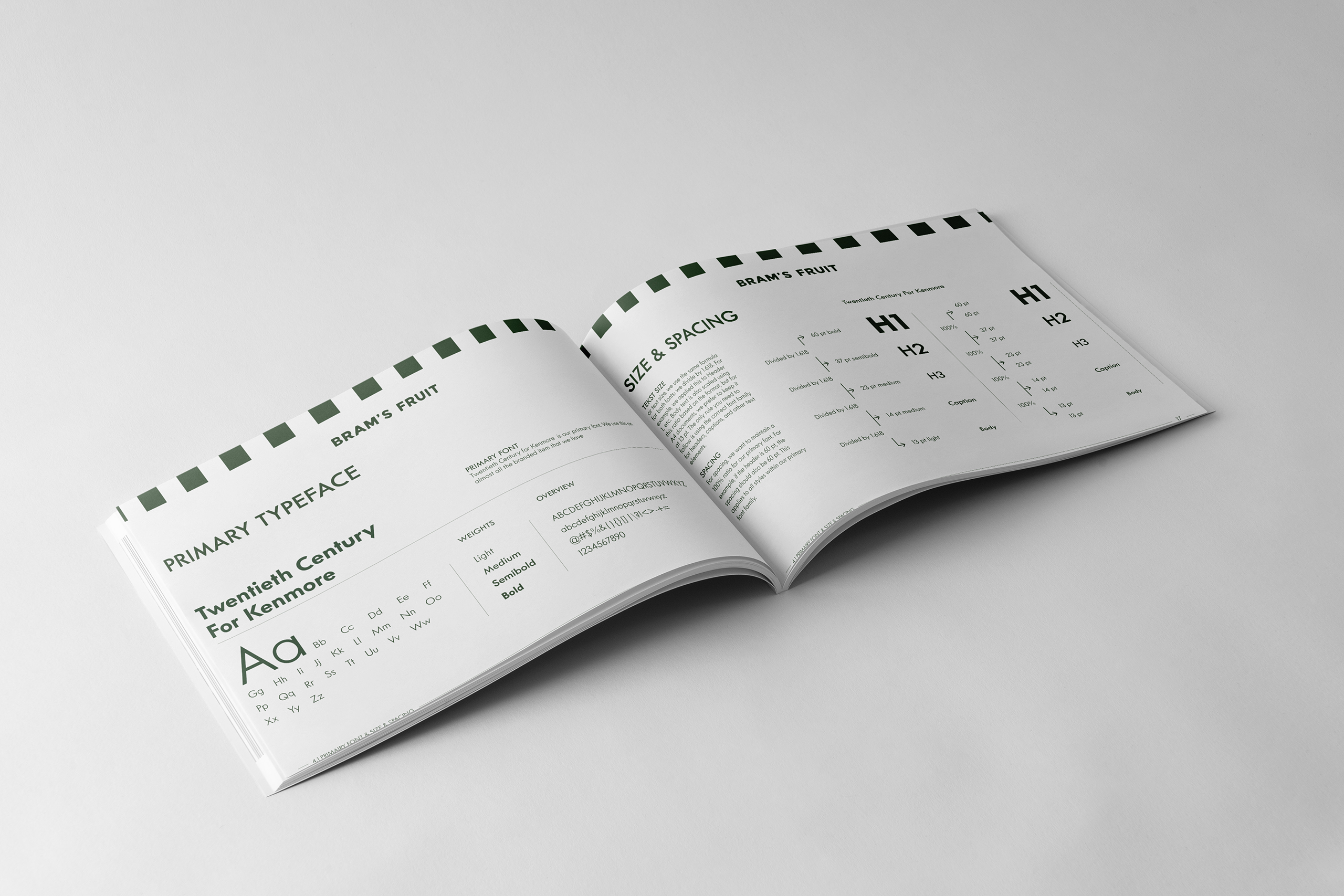 Brand_guide_mockup_3