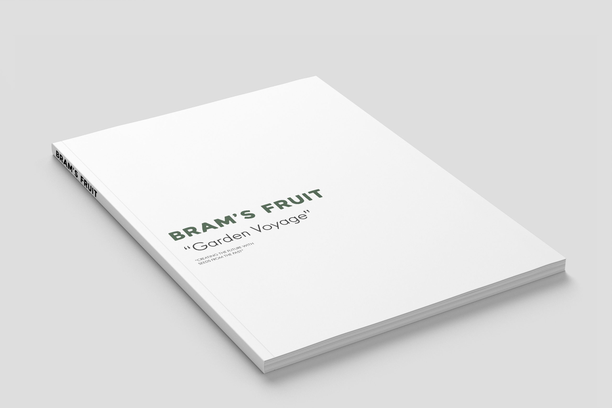 Magazine_Mockup_1